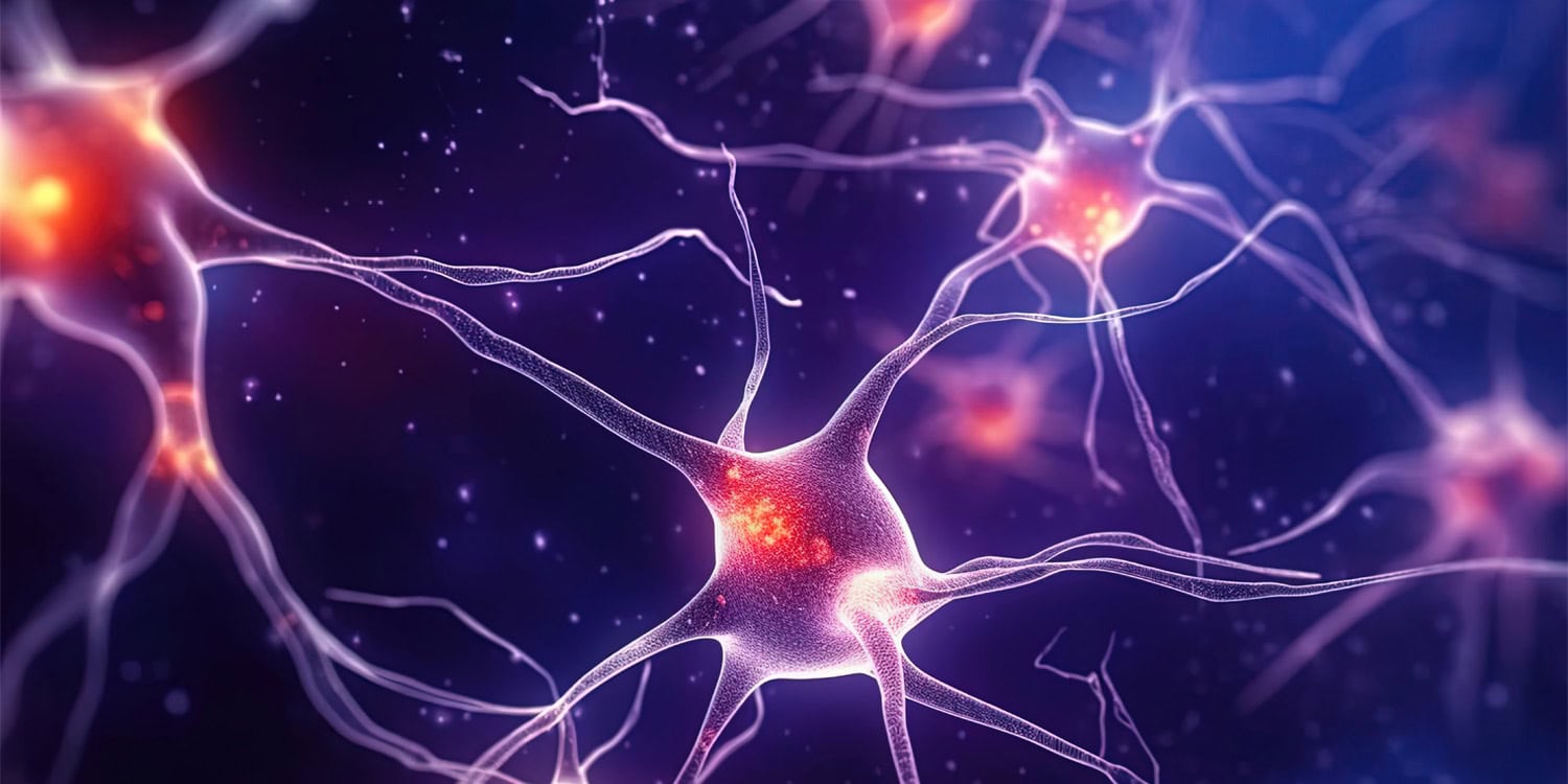 Your brain doesn’t learn the way we thught, accorting to new neuroscience breakthrough – ryan