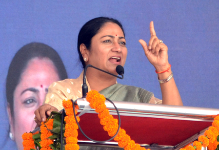 One minister responsibility for seven meetings constituencies, Premier Modi model in Delhi