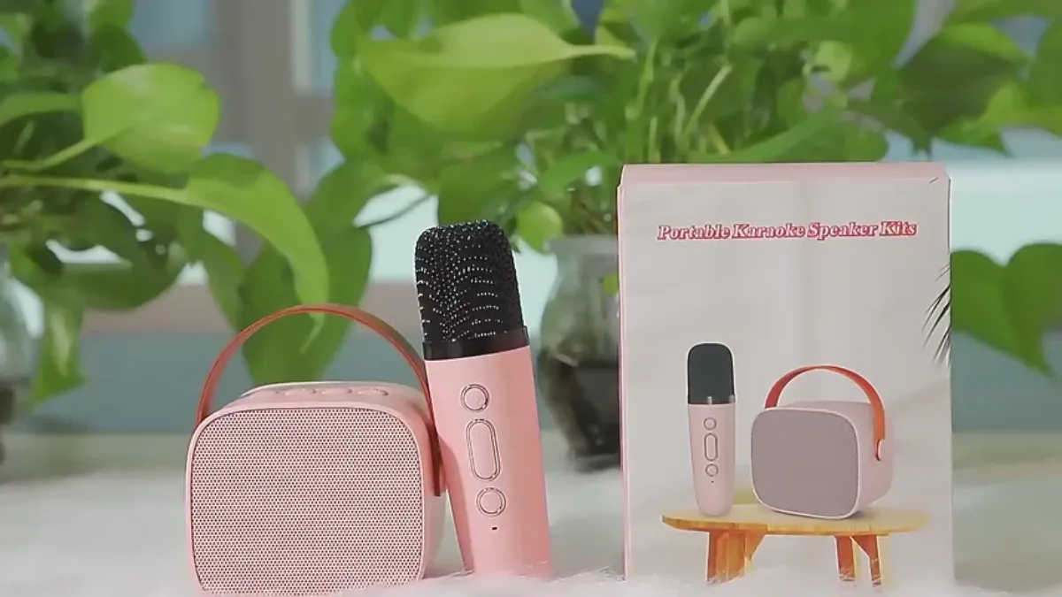 Best party -Luidspers with a wireless microphone to make karaoke sound like concerts
