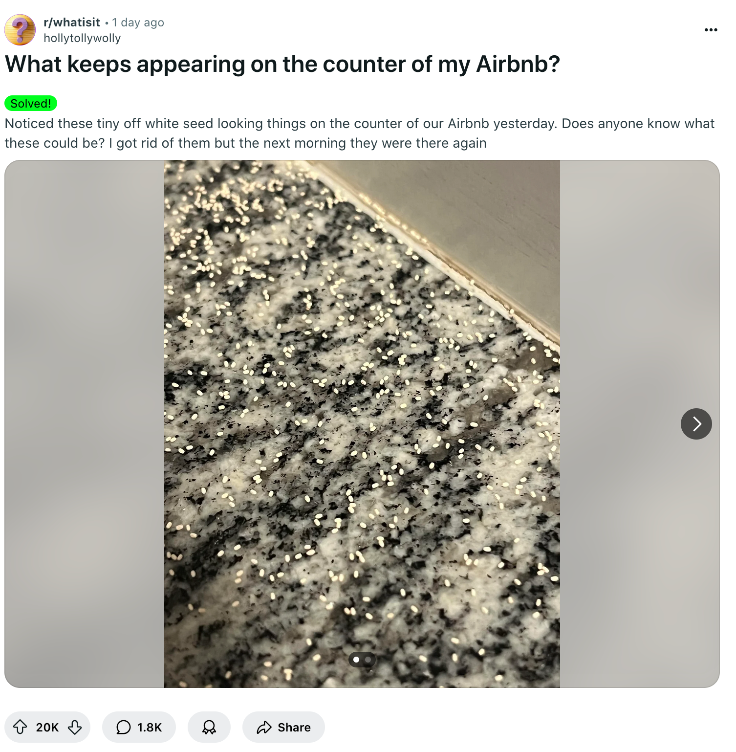 Redditor finds ‘seeds’ in Airbnb kitchen—turns out it’s termite poop – ryan