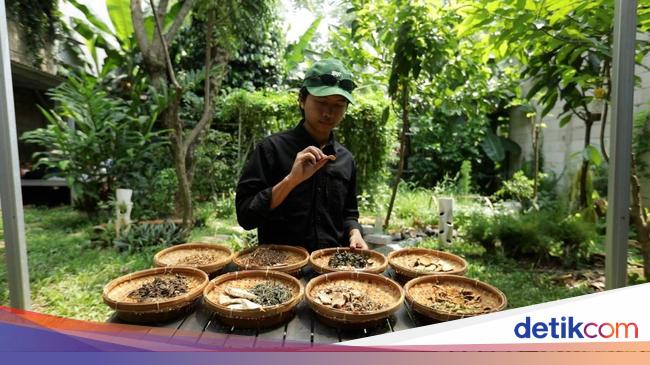 How to share herbal plants for young people