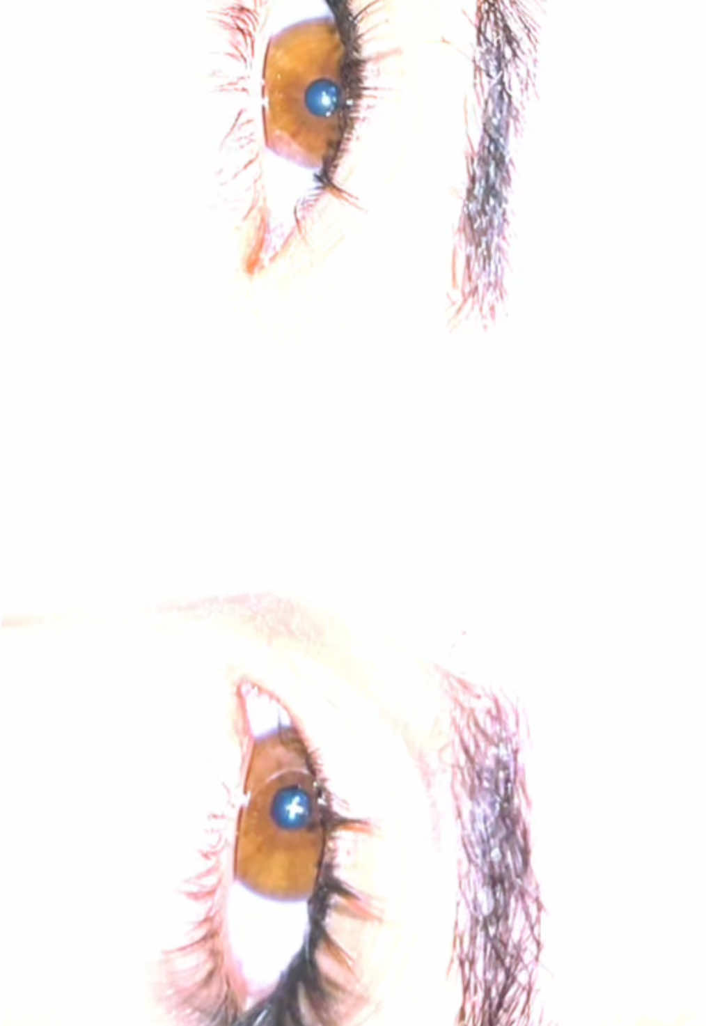 Wifey wifey wifey #foryou #fyp #trending #feed #viral #trendeyes #eyes #eyestre… – ryan