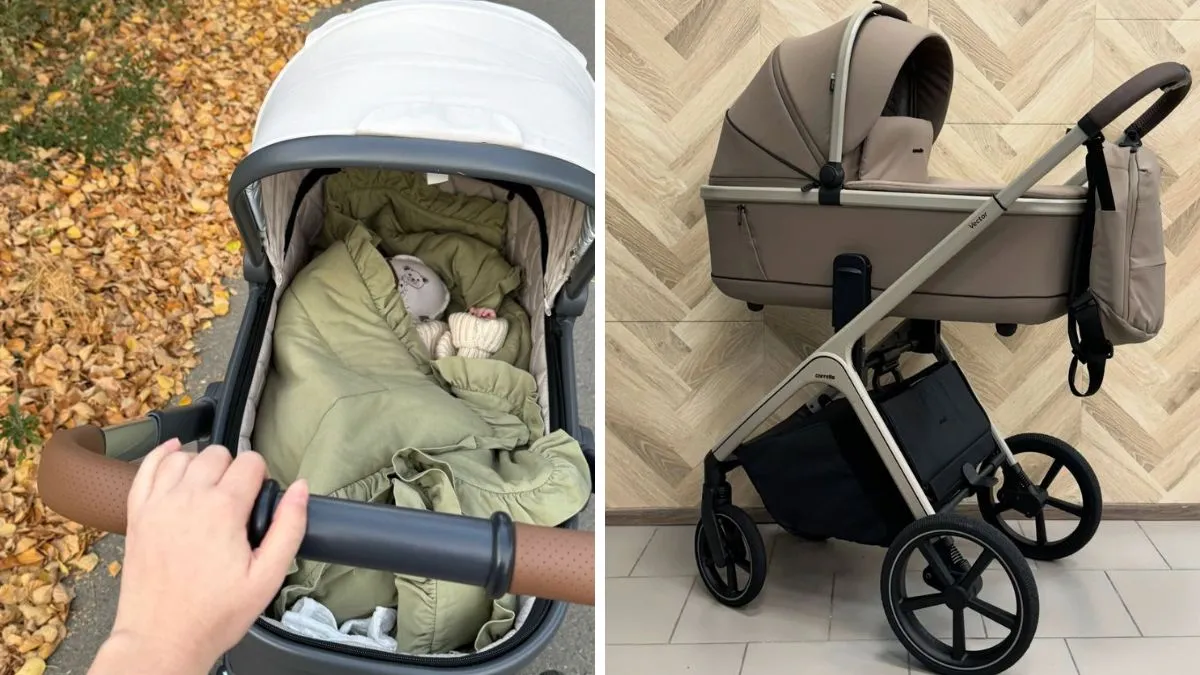 Best baby hikers for daily trips with safety, comfort and comfort