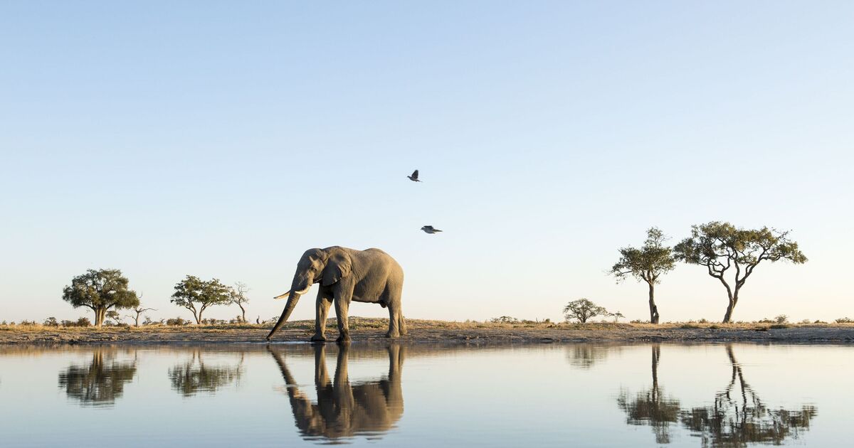 The Beautiful Country in Africa that’s the ‘Cheapest’ to visit in May | Travel News