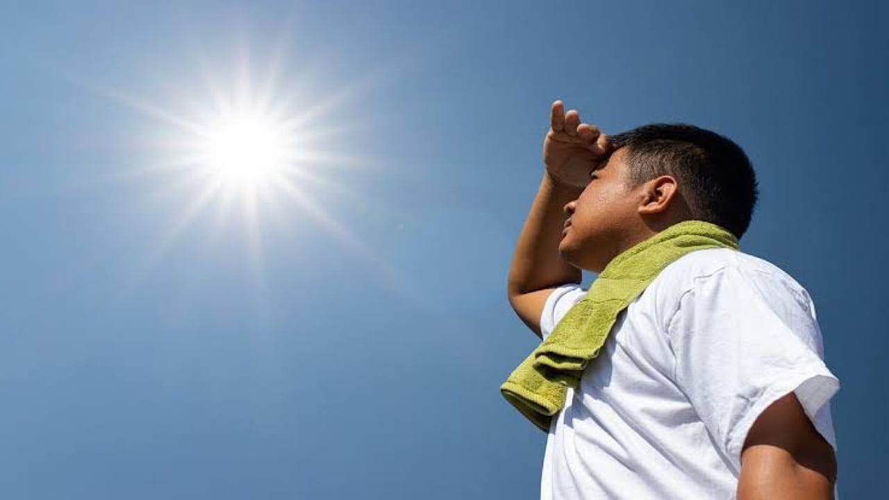 5 daily habits to avoid vitamin D deficiency in the body – ryan