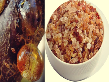 Glue will provide the body coolness, even in the scorching heat, know what the wonderful benefits are