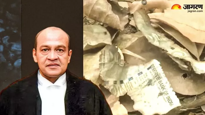 52 Affairs that will be renewed before the Judge Yashwant Verma, Delhi HC issued notice – 52 cases that pending Judge Yashwant Yashwant Yashwant Verma will be heard after he was told