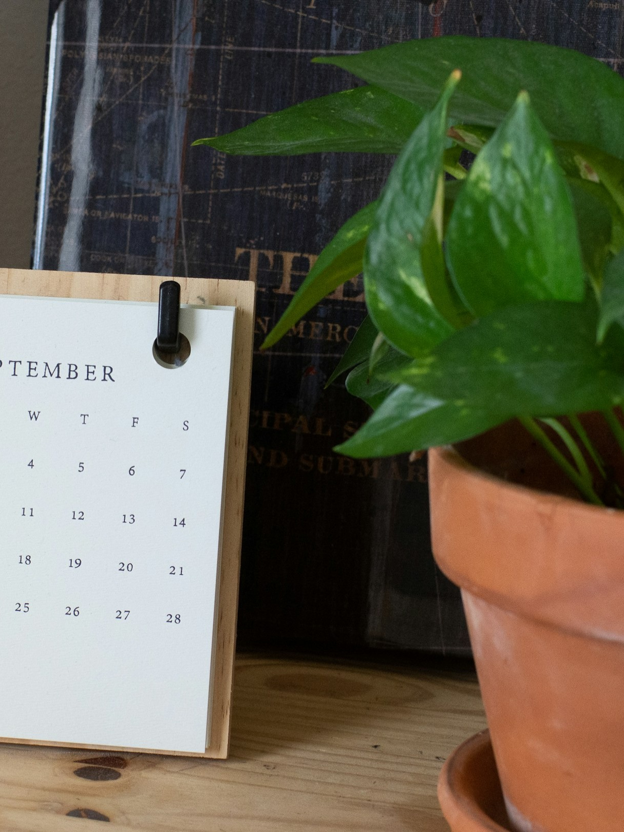 How to name months, know their meanings