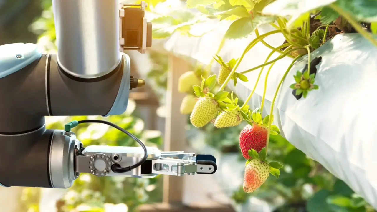 5 WAYS AGRICULTURAL ROBOTS ARE CHANGING MODERN FARMING – ryan