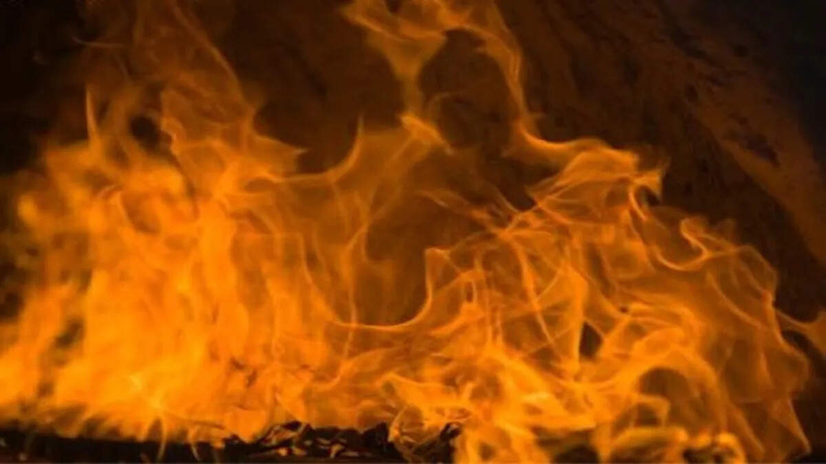 Nine houses burned due to fire in the Vidisha district, one animal dies
