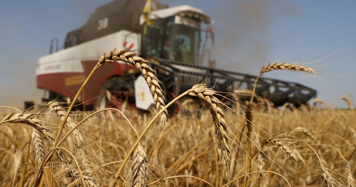 China has completely stopped entering gas and wheat from the United States