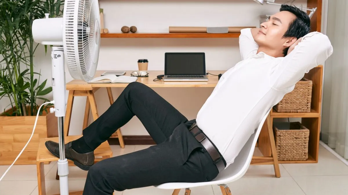 What are the best pedestal fans with copper car for this summer?