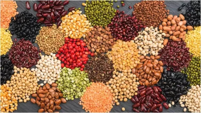 Pulse prices: a rapid drop in pulses prices, farmers upset; Know what’s the matter – Pulse pris trap farmers are being worked