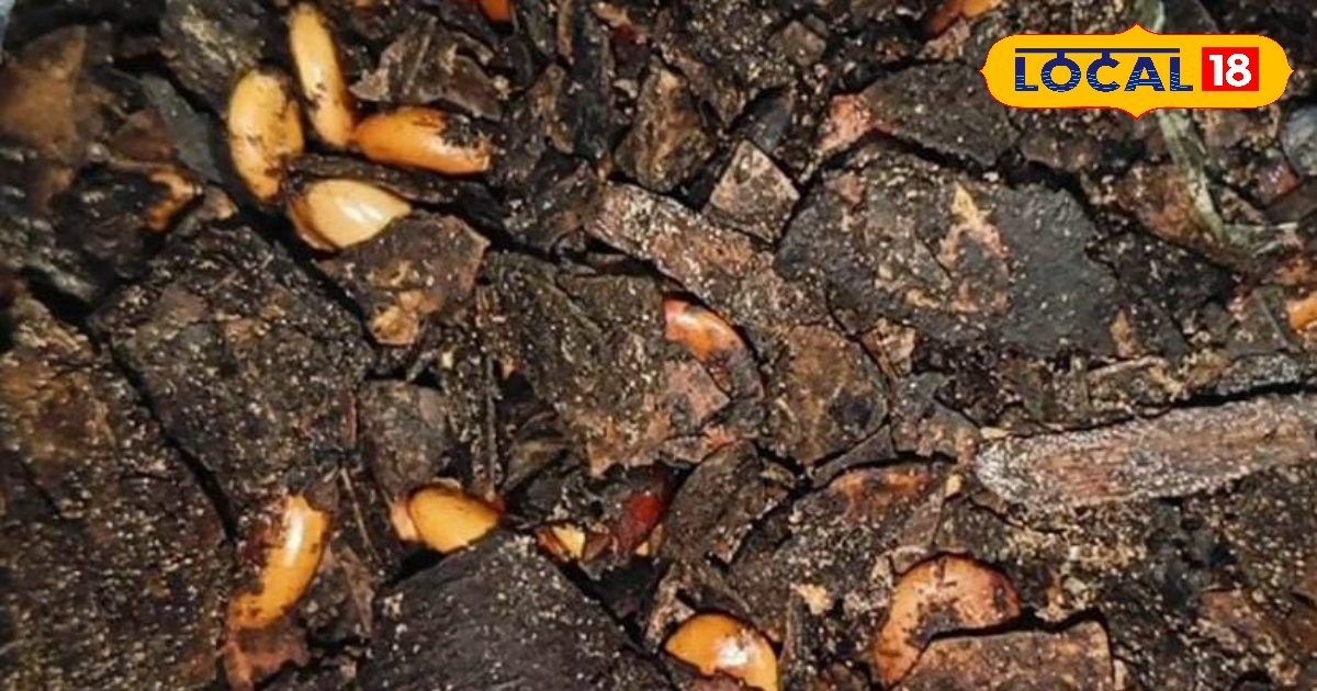 Wonder of Nature … Relief of constipation provided in a pinch shines the skin in minutes