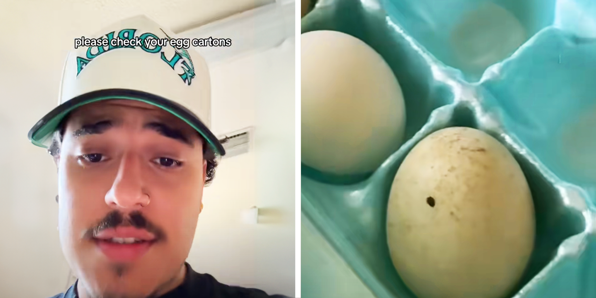 Why Is This Man Urging Others to Check Their Egg Cartons? – ryan