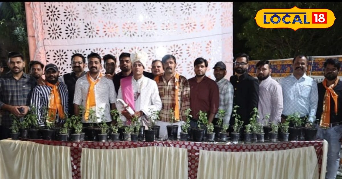GO GREEN: Innovation on Environmental Awareness in Udaipur, Plants Gifts During Marriage Ceremony, spread more than 100 plants