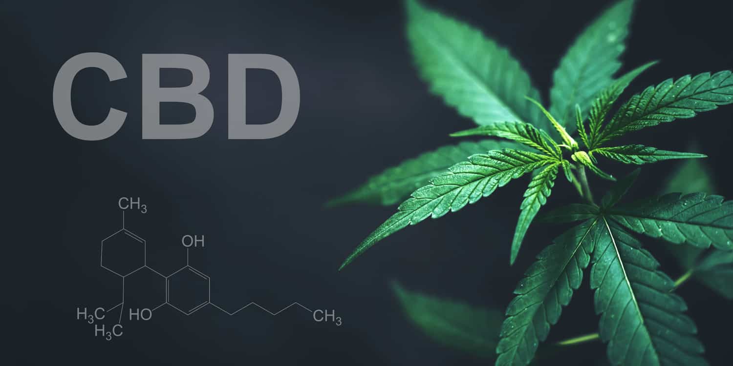 Nightly CBD LINKED TO BETTER MORNING MOOD But no Changes in Cognitive Function – ryan