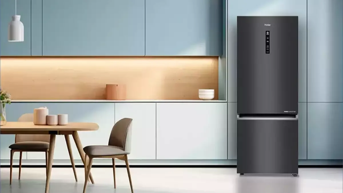 Best Energy Efficient Refrigerators for Home (February 2025)
