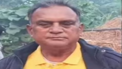 The truck has crushed the rural doctor who will treat the patient on the site dead