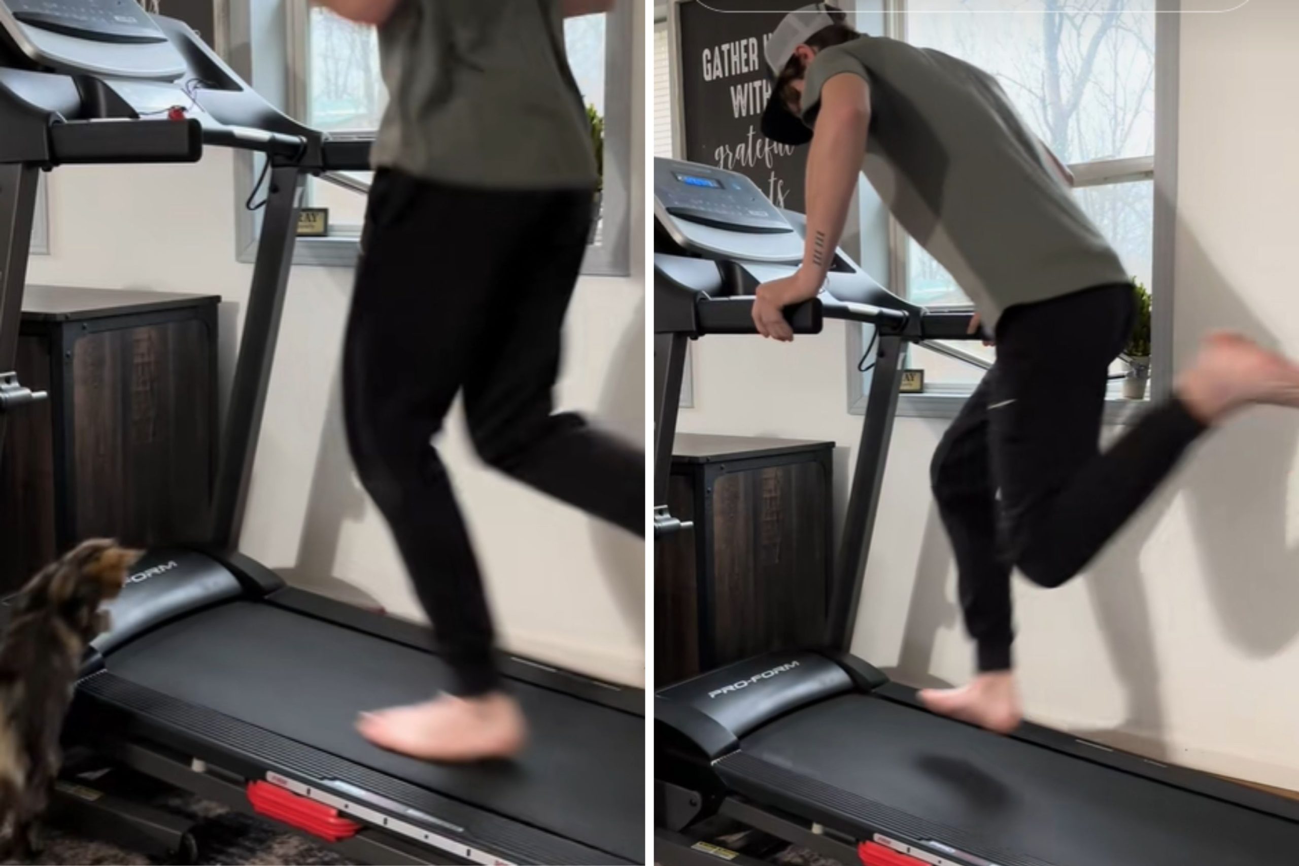 Cat Tries to Jump on Running Treadmill, 13 Million Watch Hilarious Result – ryan