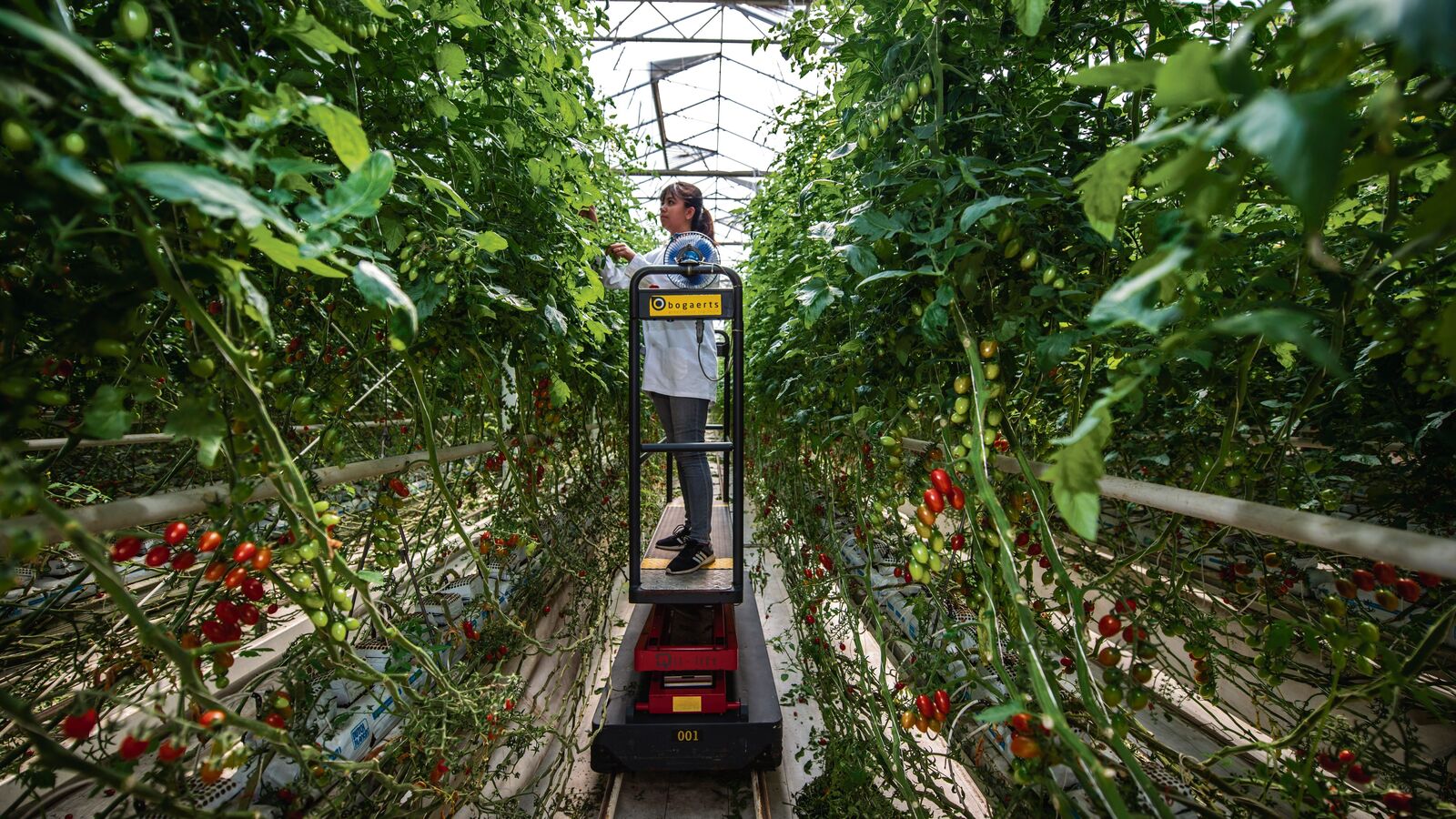 Sow wisely: India can pick much more out of its agricultural sector