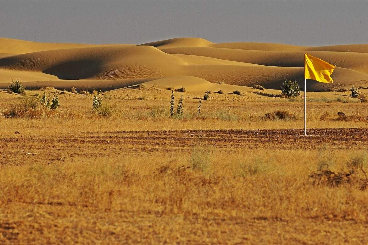 These puzzles associated with the National Desert Park of Rajasthan