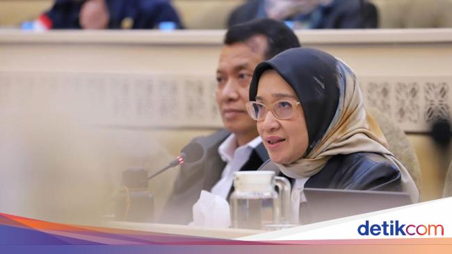Shelf with the DPR RI, Kemenpan-RB provides the progress of transferring asn to IKN before
