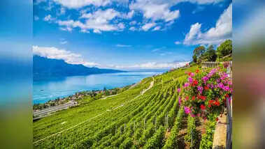 You must also plan these 5 places of India, forget about foreign location