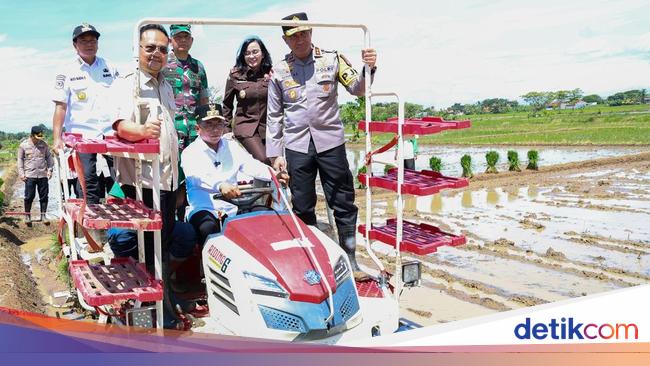 Andra Soni is aimed at the rice crop in Banten to reach 1.8 million tonnes in 2025
