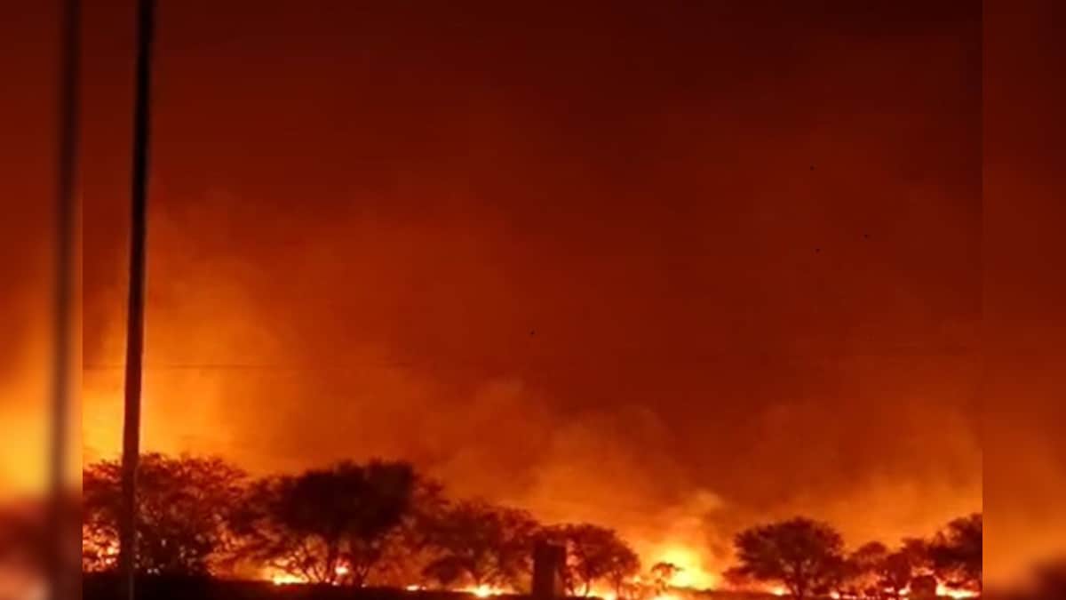 Fire of fields in Gwalior has reached the town, millions of loss
