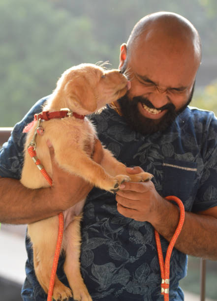 Learn these 7 things before raising animals