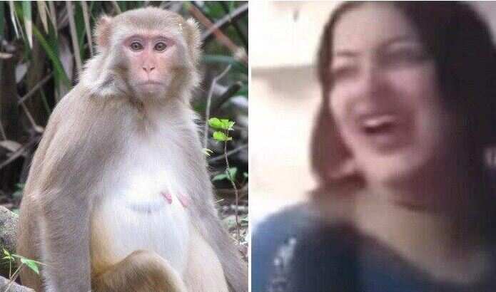 This woman loves sexual abuse of animals this time a monkey becomes a victim