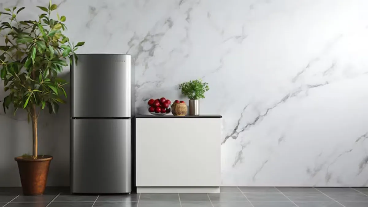 Premium double by refrigerators for home in 2025: where innovation meets functionality