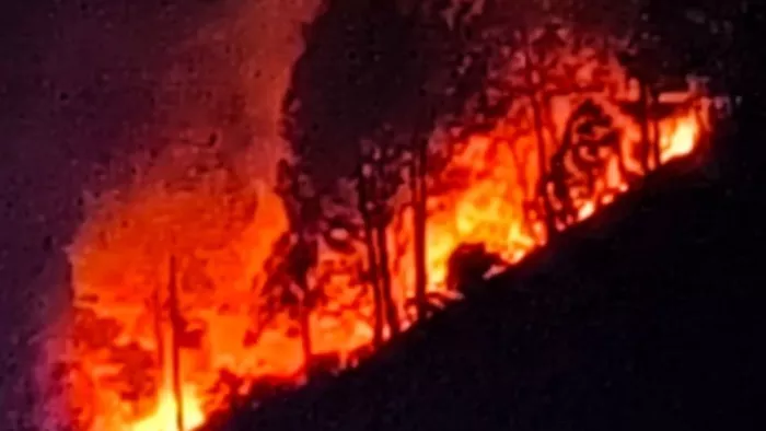 Nainital News: Felse Fire in the Forest of Thua along the highway, the atmosphere of panic among the residents – Thua Fire enormous Blaze near Almora Haldwani Highway