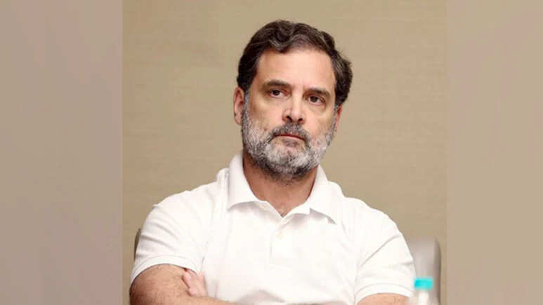 “You will say something about Mahatma Gandhi,” why did the Supreme Court tell Rahhi?