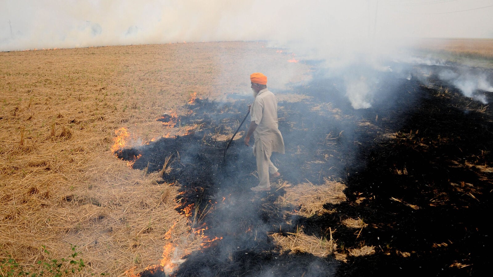 Vedanta entity Set up Torrefied -Biomass -Plant in Punjab | Company Business News