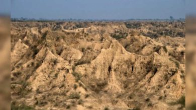 Dacoits terror was ended in the ravines of Chambal in Dholpur, Rajasthan police caught the last bandit Bhagat