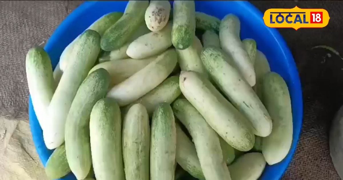 Health can spoil the fresh and green vegetables in the market, remove such chemicals before making vegetables and salad