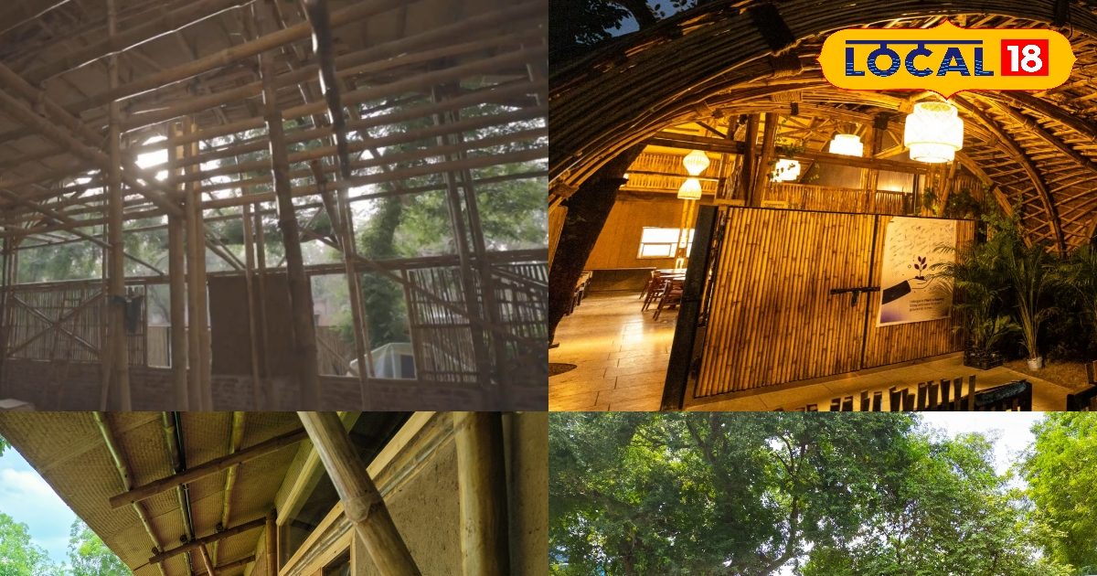 Bamboo and soil made the only wonderful thing! The headlines get the headlines