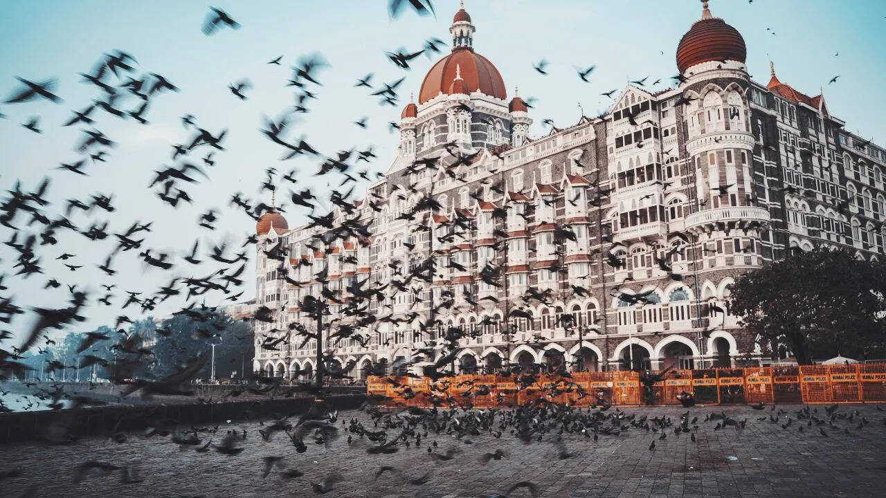 After examining Mumbai children, explore these tourist places here