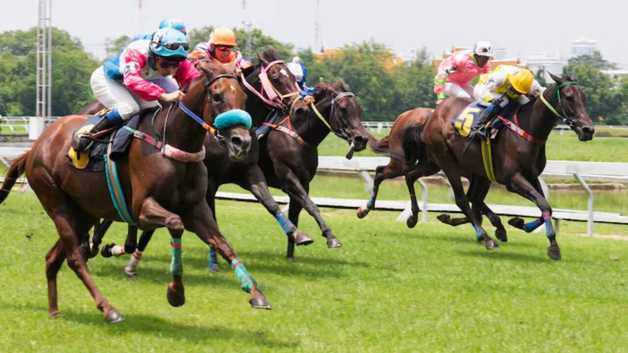 The excitement of the speed will be seen, dust will fly … The fastest horses of the country will run into Ayodhya