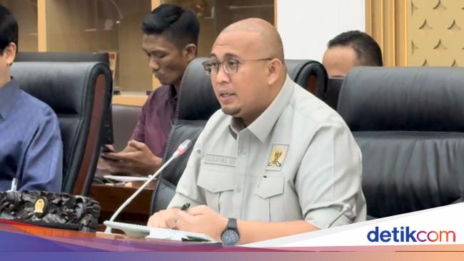 Chairman of BP Batam Panja Andre Rosiade: Rempang Eco City still PSN
