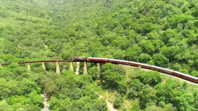 Kashmir of Rajasthan is the first choice of wandering people