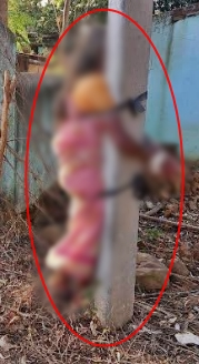 Man arrested by hitting an elderly mother by tying with electric poles