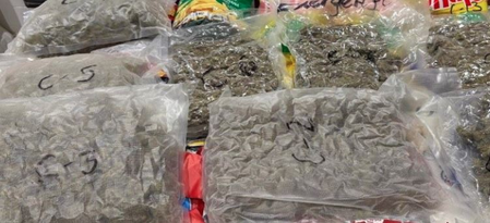 Ahmedabad: Dri seized more than 37 kg of hydroponic video at the International Airport, four arrested four