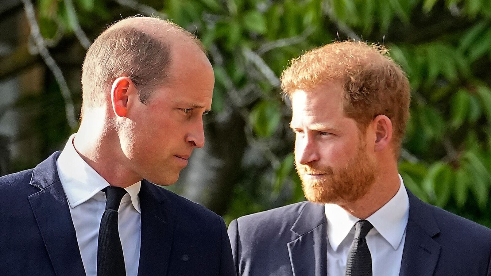 Prince William uneasily about Meghan Markle using the HRH title? Duke Hertoogin of Sussex ” Titles is removed once ‘… | Today news