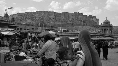 What did Rajasthan look like during the era of kings and emperors? Watch a unique view in this 3 minute black and white video