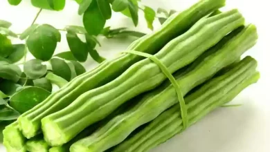 Know why eating drumstick in winter