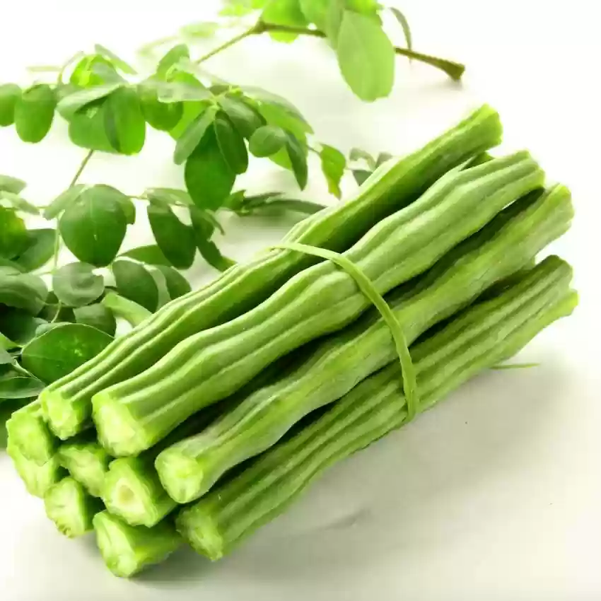 Know why eating drumstick in winter
