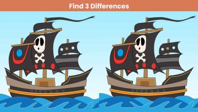 Find 3 differences between the Pirate Ship photos within 14 seconds!